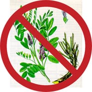 Противопоказания при лечении растениями
